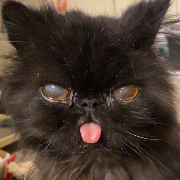 💛 - Picture 7 of 7